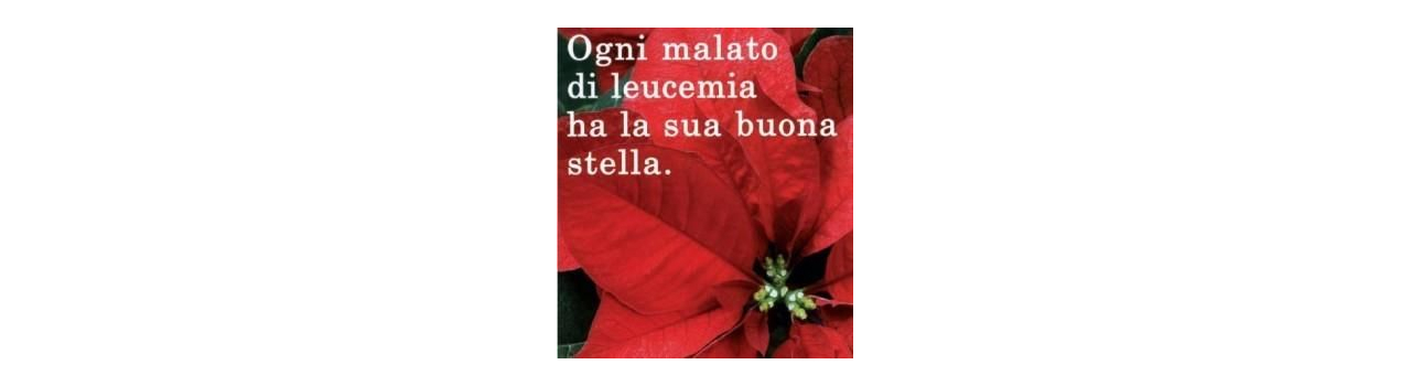 stella_ail_locandina-269x300.jpg
